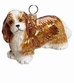 Cavalier King Charles Blenheim